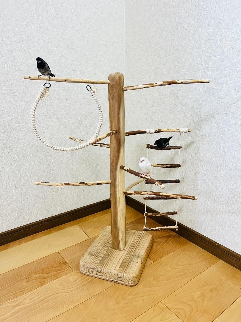 【小鳥用】ブランコ＆ハシゴ付　♬螺旋状 バードアスレチック