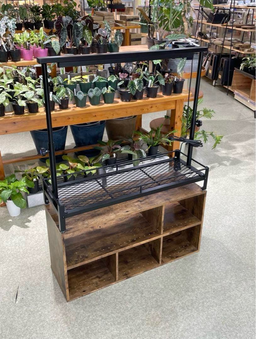 1台限定　黒塗装済み完成品　アイアン　ミニ植物棚　ダクトレール50cm付き！