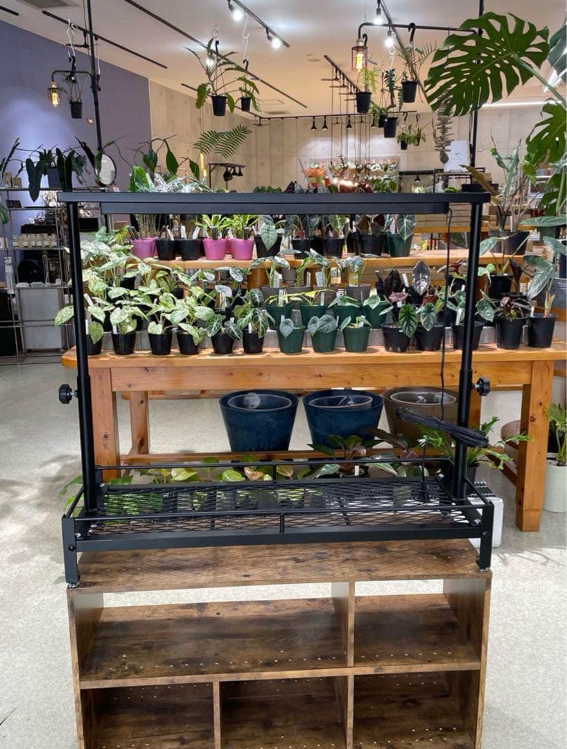 1台限定　黒塗装済み完成品　アイアン　ミニ植物棚　ダクトレール50cm付き！