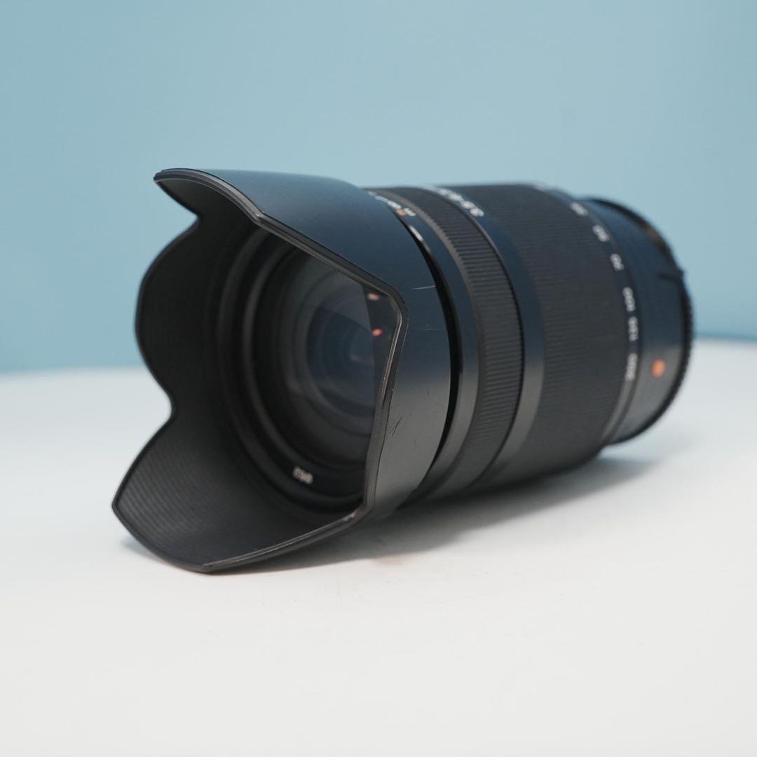 SONY純正 18-200mm 標準+望遠レンズ 極美品 a4694