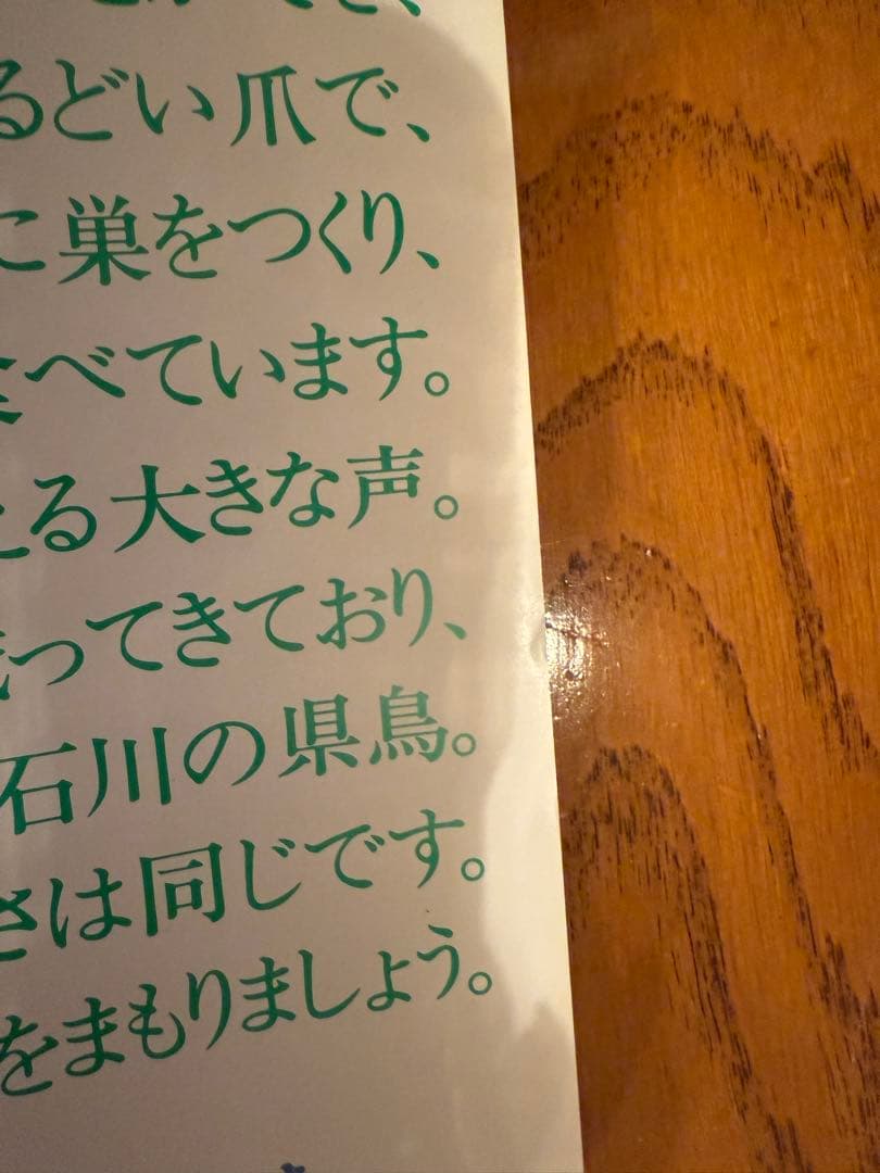 サントリー ポスター3枚セット アホウドリ イヌワシ 日本の県鳥 骨董品