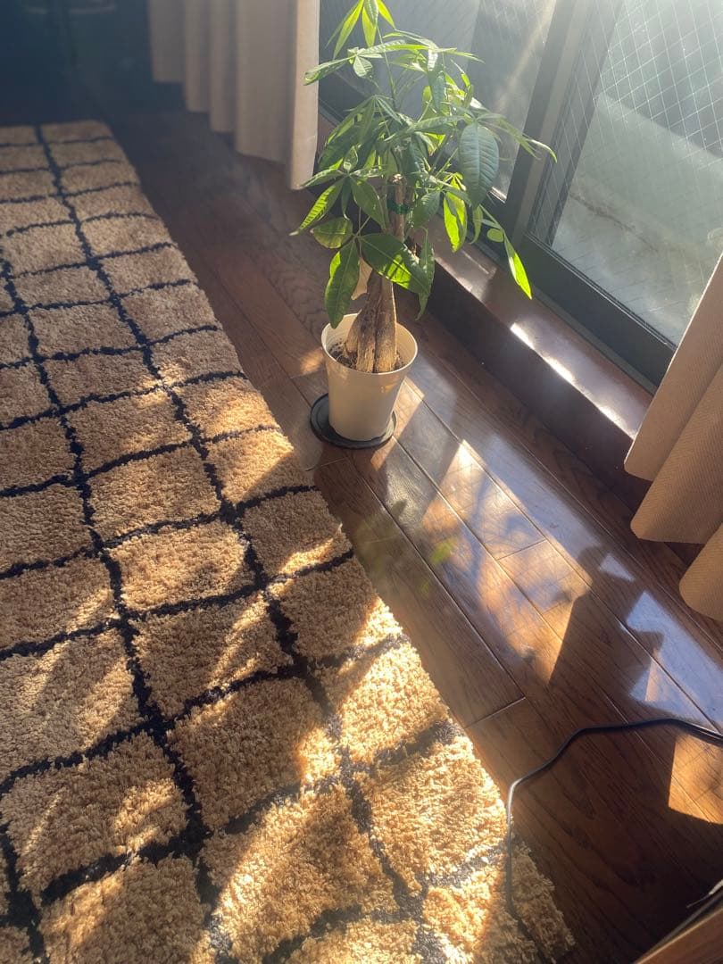 【cherry blossoms】 天然素材 格子模様ラグ