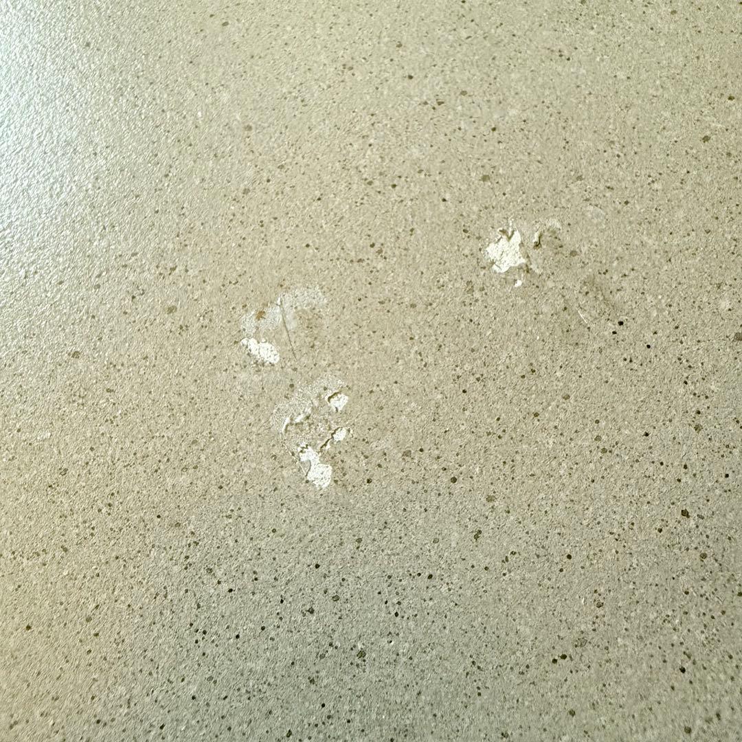 モーダエンカーサ　ローテーブル　APOLLO