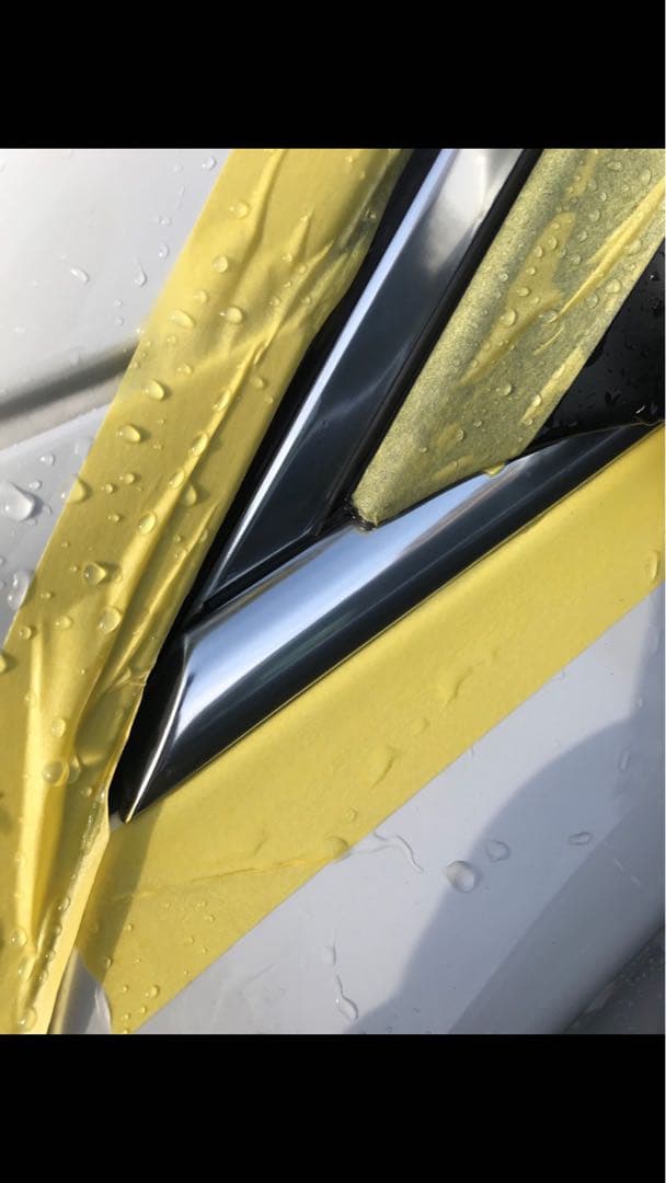 メッキモール 磨きパット 外車 専用 腐食取り 輝く 簡単 150枚 送料無料