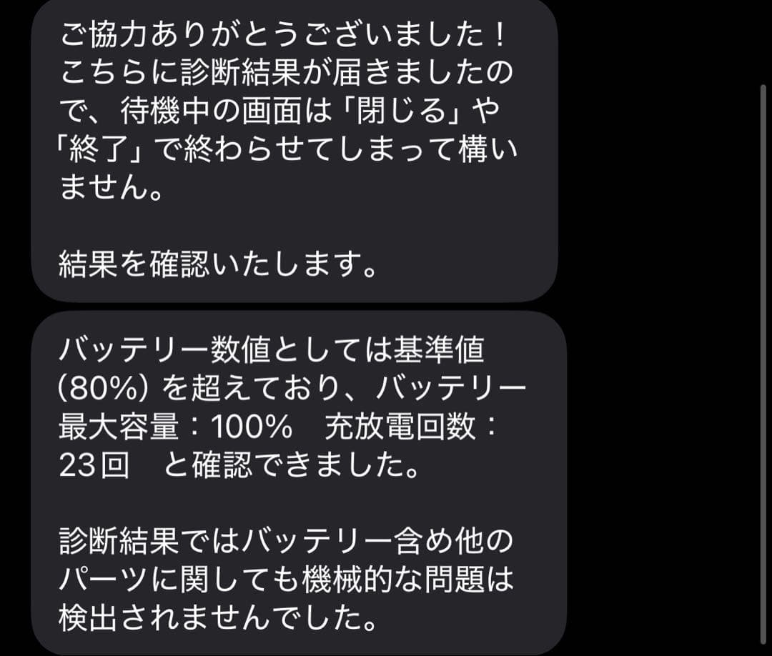 ipad pro 第1世代 256GB 11インチ バッテリー100% ＋おまけ