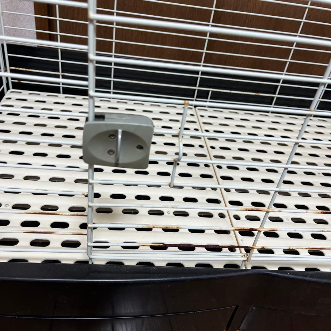 カバー付　イージーホーム80 ケージ　ウサギ　モルモット