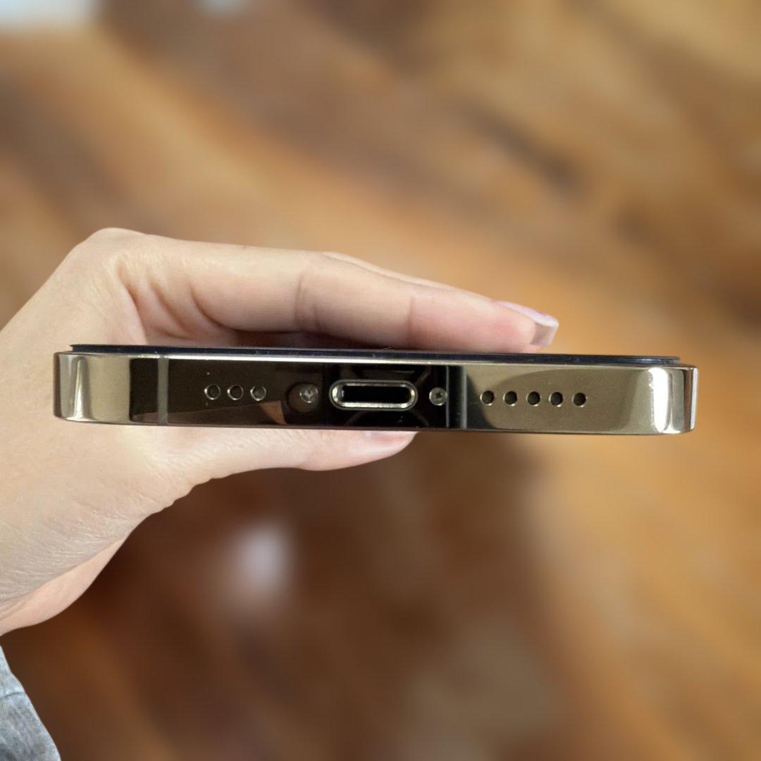 【31日Am8:00まで専用】ルフィー様