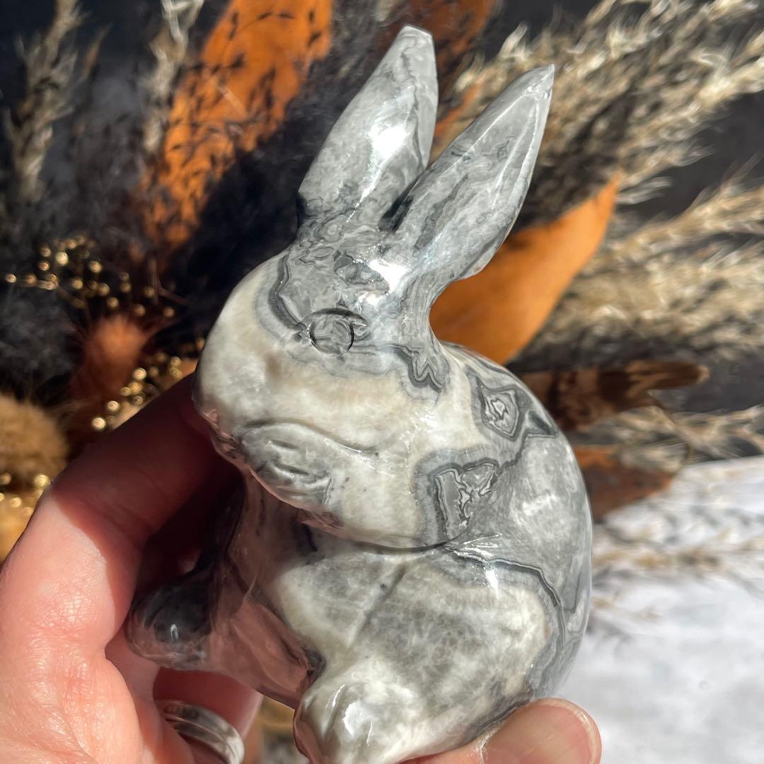 ピカソジャスパー うさぎ ラビット