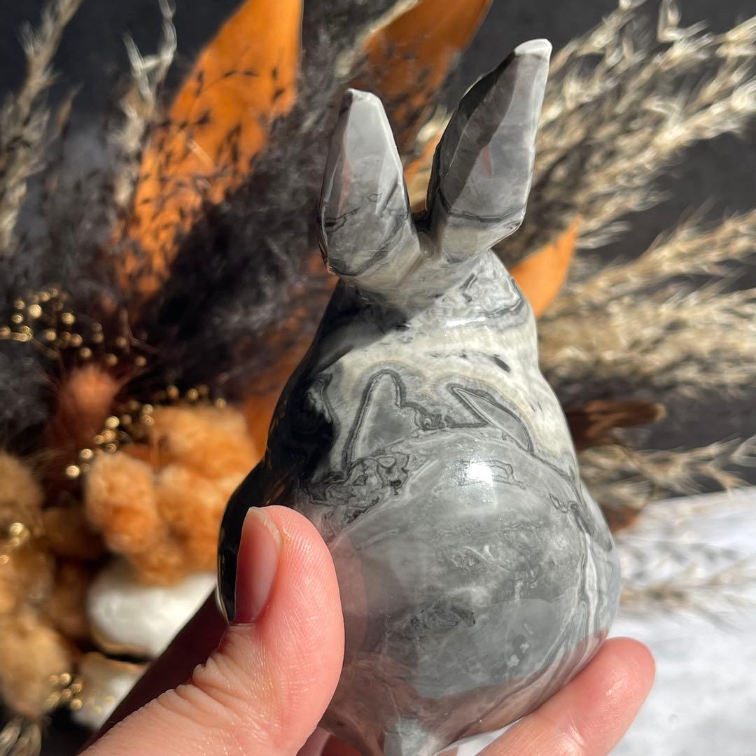 ピカソジャスパー うさぎ ラビット