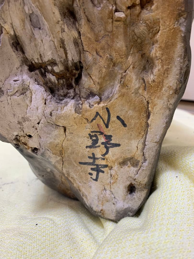 珪化石 木の化石 木化石 鑑賞置物 現状品 ジャンク品