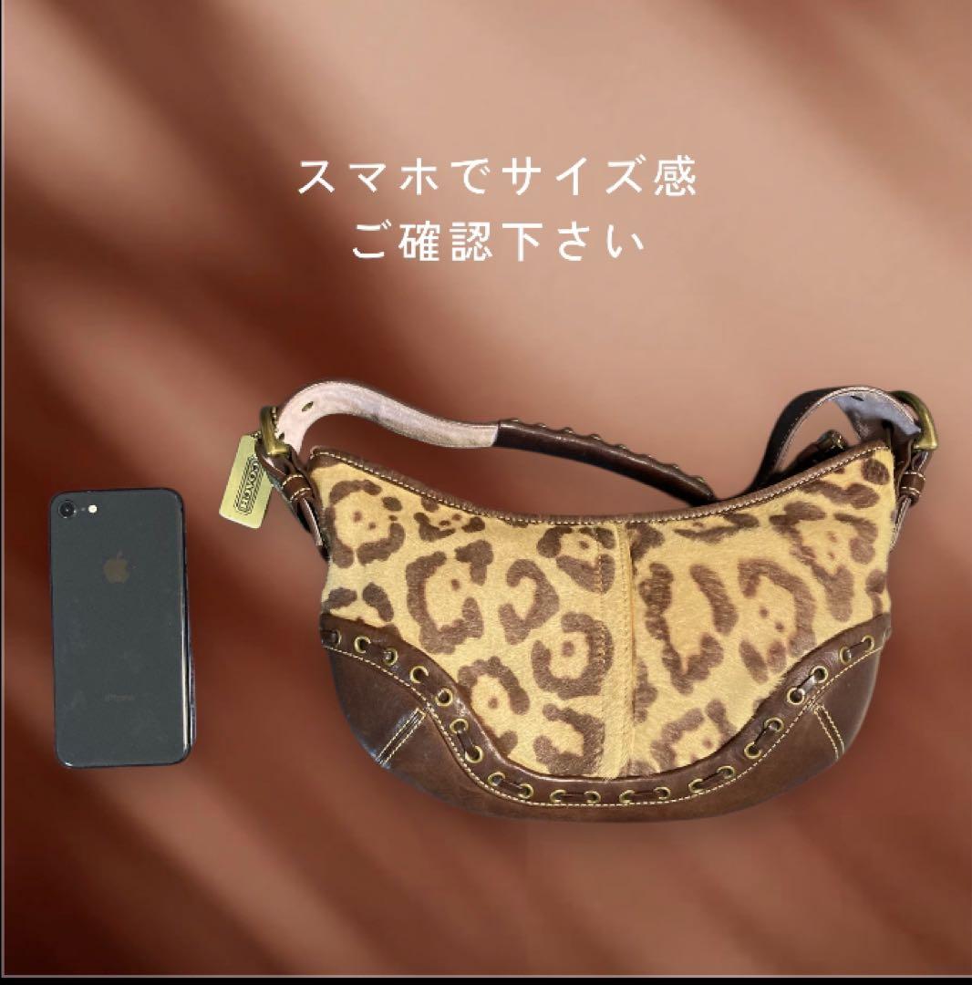 【極美品・希少】COACH コーチ ハラコ レオパード ショルダーバッグ