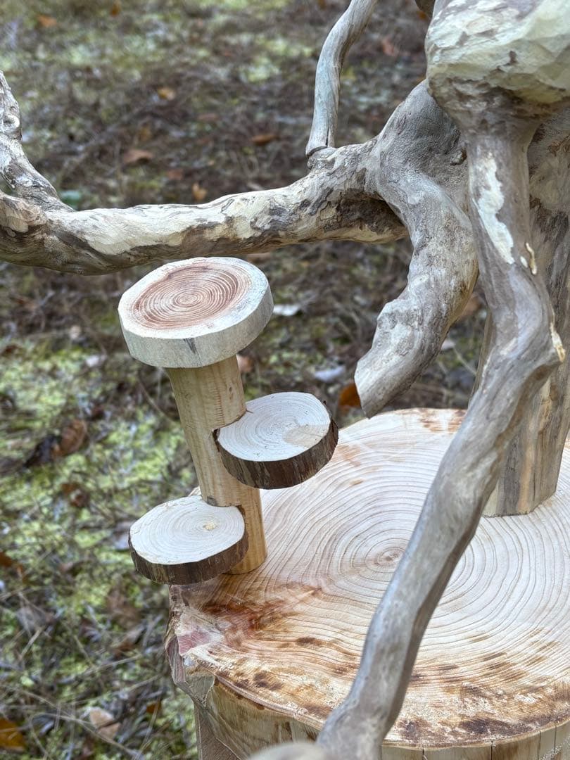 止まり木 kan_oqsm