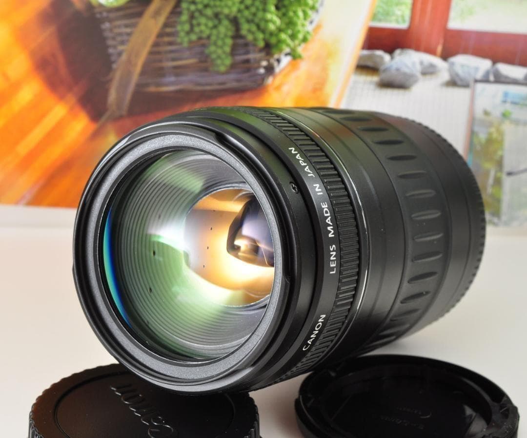 望遠レンズ Canon キヤノン 迫力の90-300mm レンズフード付き！