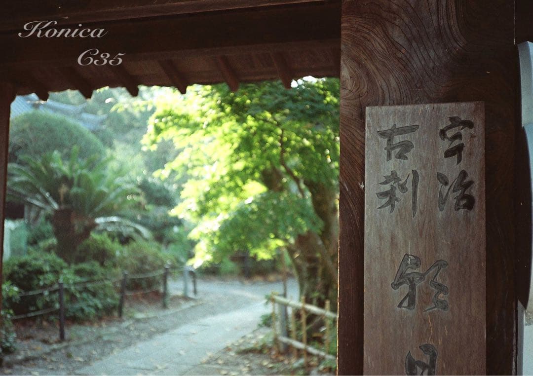 ★希少・完動品★konica c35★本革外装＊美品＊初期保証★入門に！