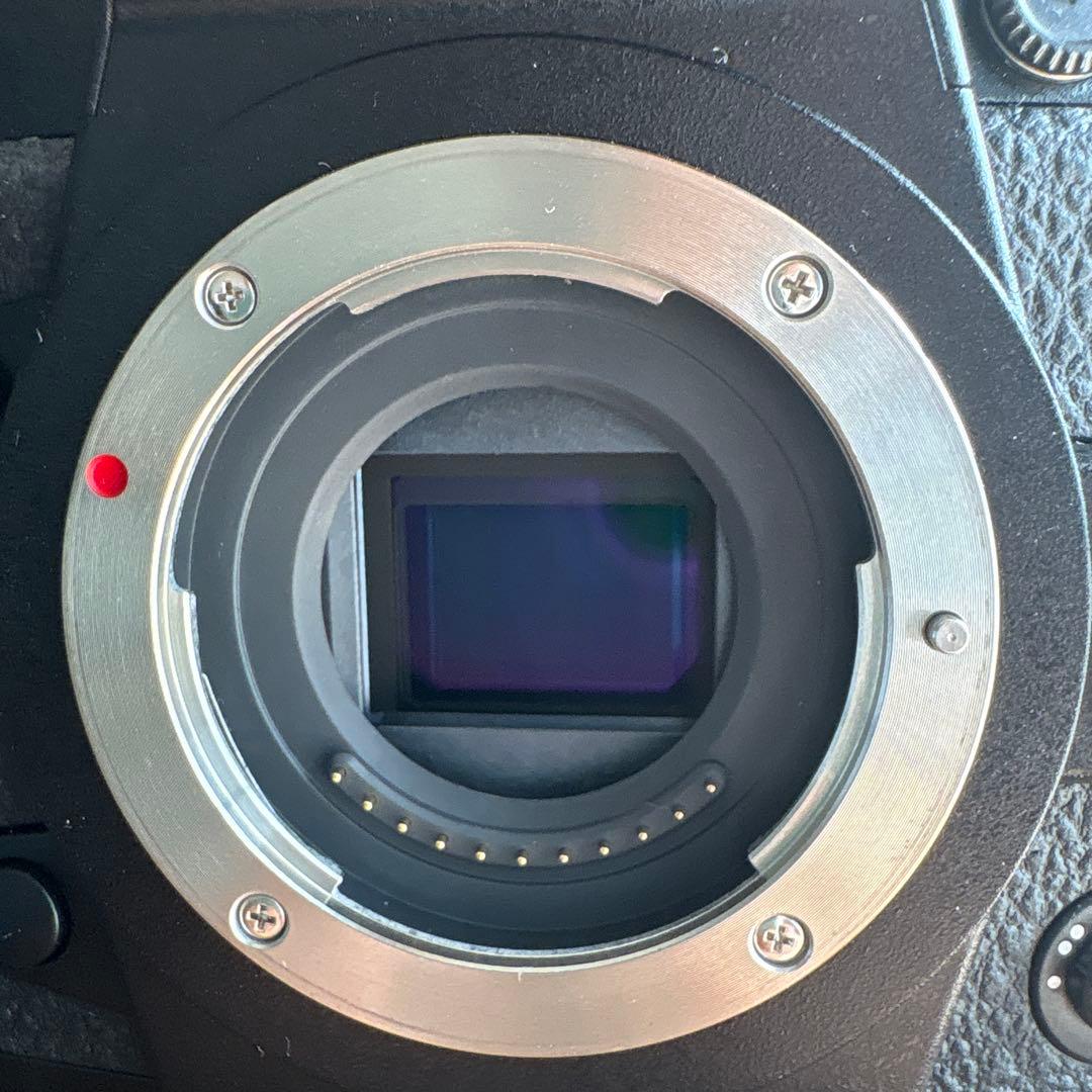 【美品】LUMIX G9PRO body ルミックス