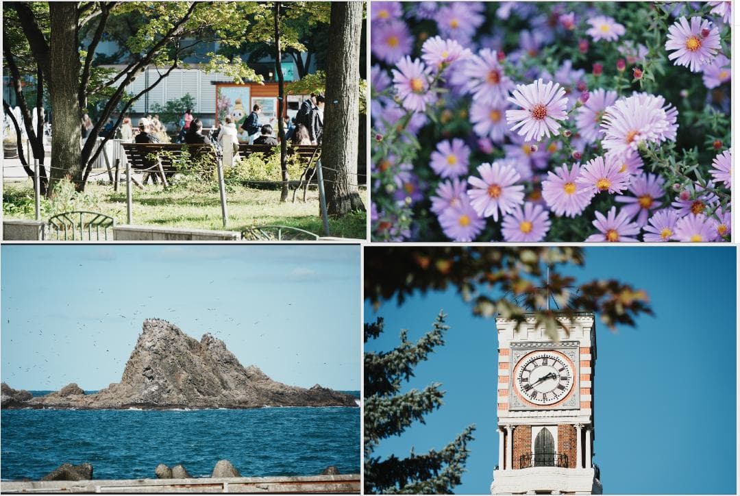 [良品]TAMRON 28-200mm F/2.8-5.6 SONY Eマウント