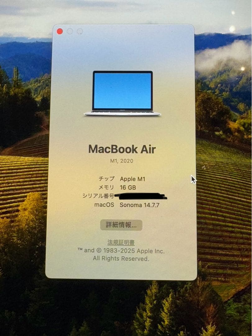 Apple MacBook Air (M1, 2020) 本体 US