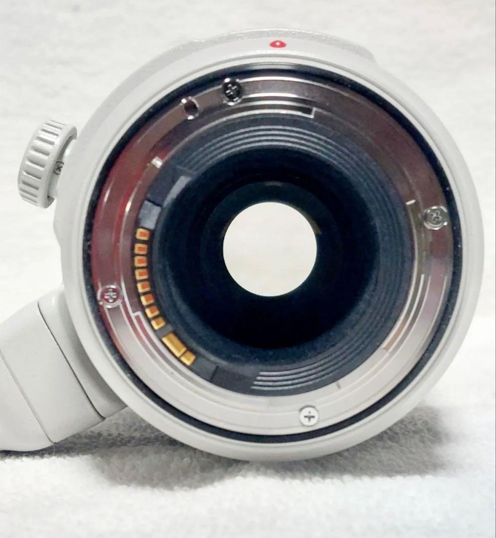 極美品　Canon EF100-400mm F4.5-5.6L IS Ⅱ USM
