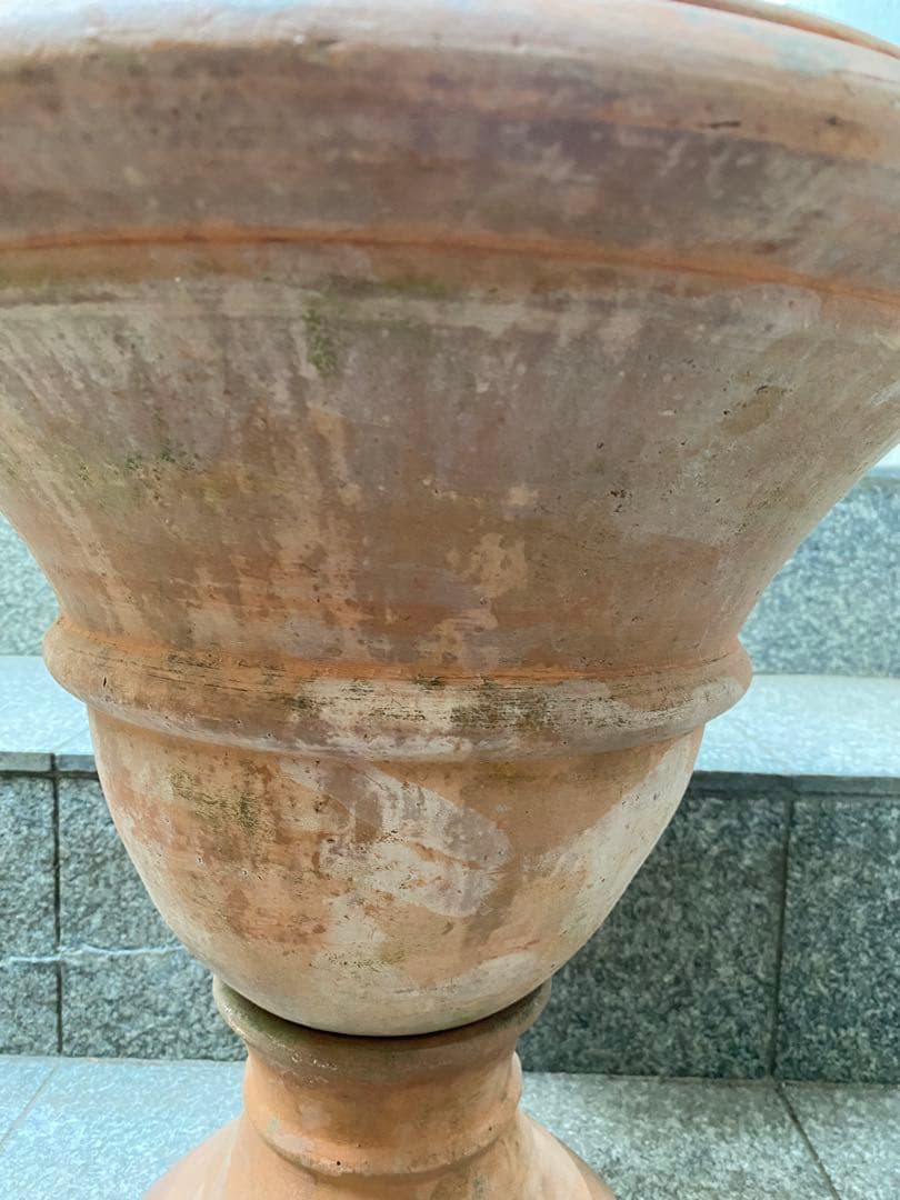テラコッタ大型植木鉢