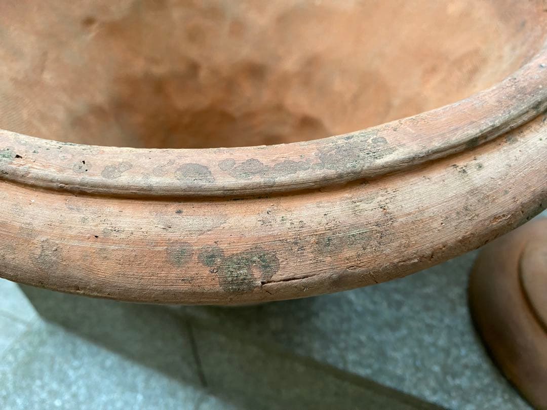 テラコッタ大型植木鉢