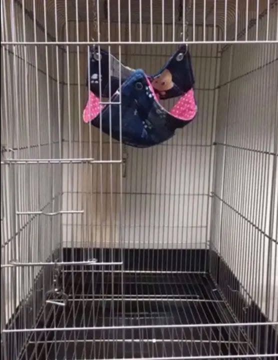 モモンガハウス（うさぎとヤギ）ピンク   秋（夏）春仕様  1850円