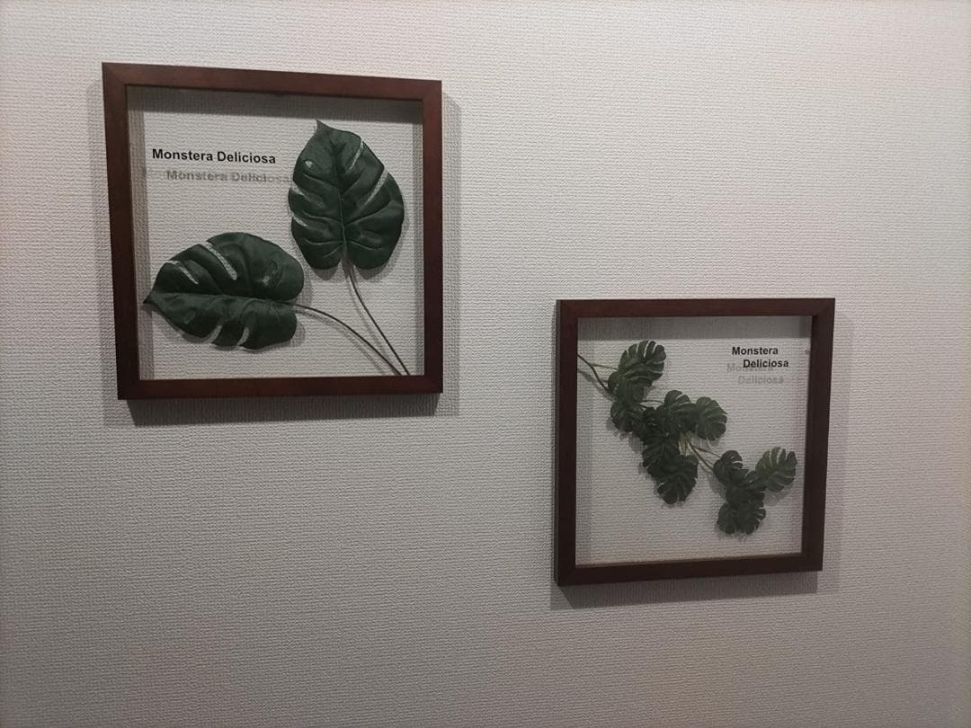 モンステラリーフパネル アートフレーム​　壁掛け　インテリア
