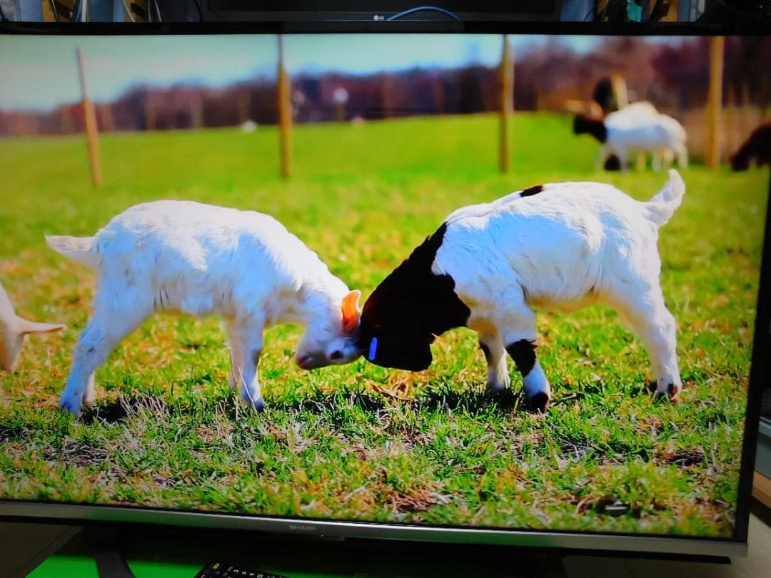 SHARP AQUOS 45型4Kテレビ LC-40US45　画面キズなしの美品