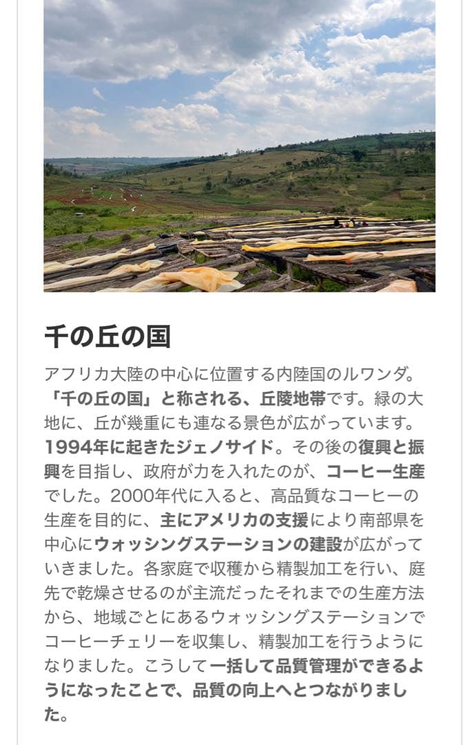 コーヒー生豆　約3. 6Kg ハンドピック済み