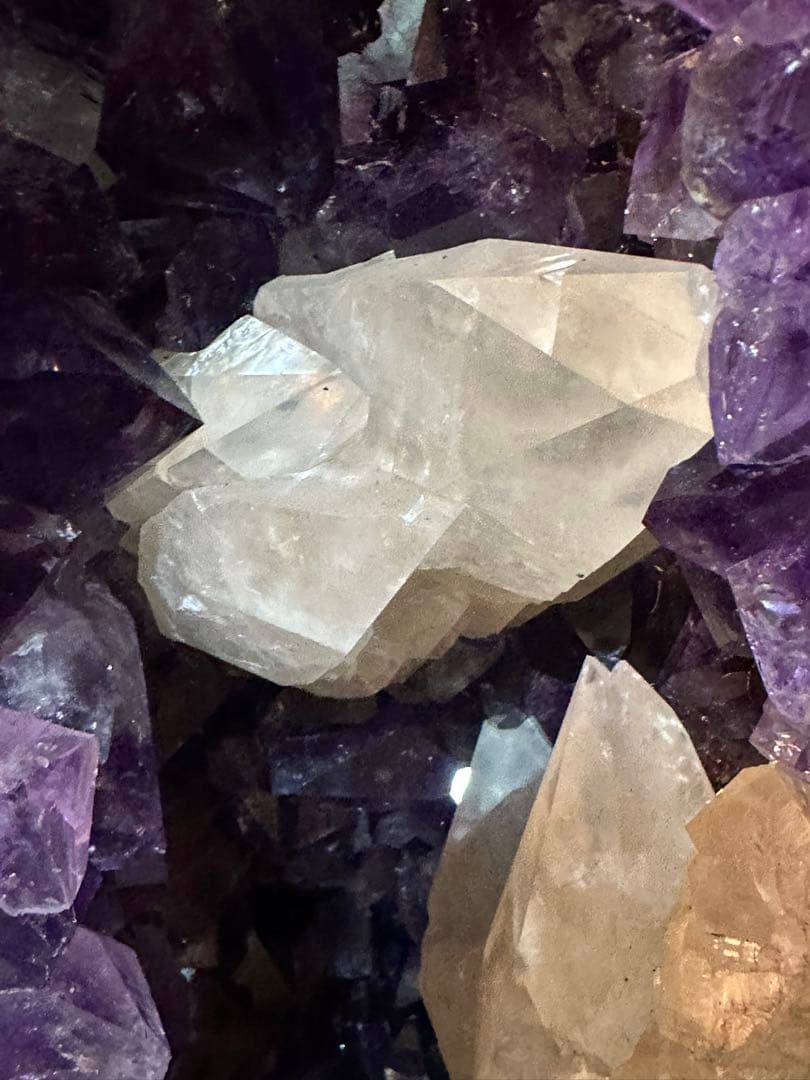 特価　アメジストドーム（カペラ）126