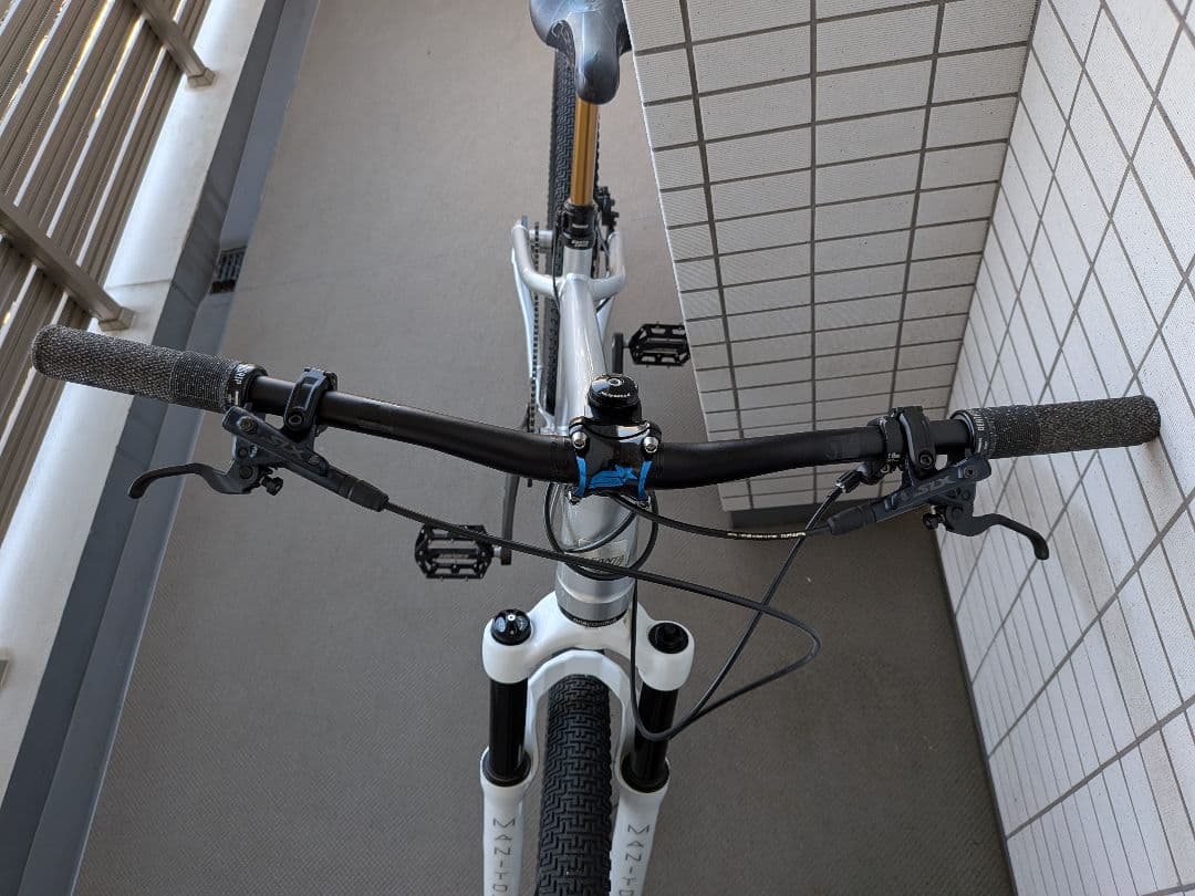 Santa Cruz Jackal　ジャッカル　2020シルバー