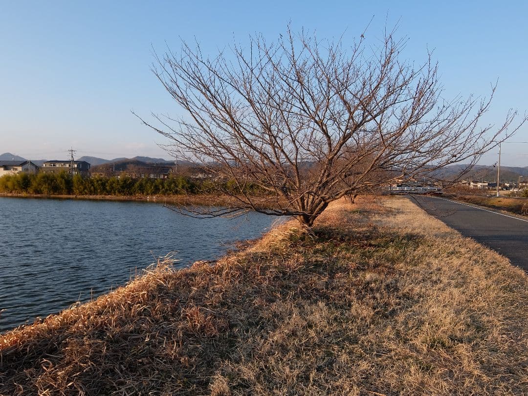 【美品】 FUJIFILM フジフィルム XQ1 元箱付き シルバー 動作OK