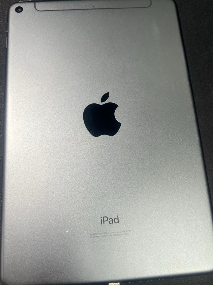 iPad mini 第5世代 (2019) 64GB セルラー スペースグレイ