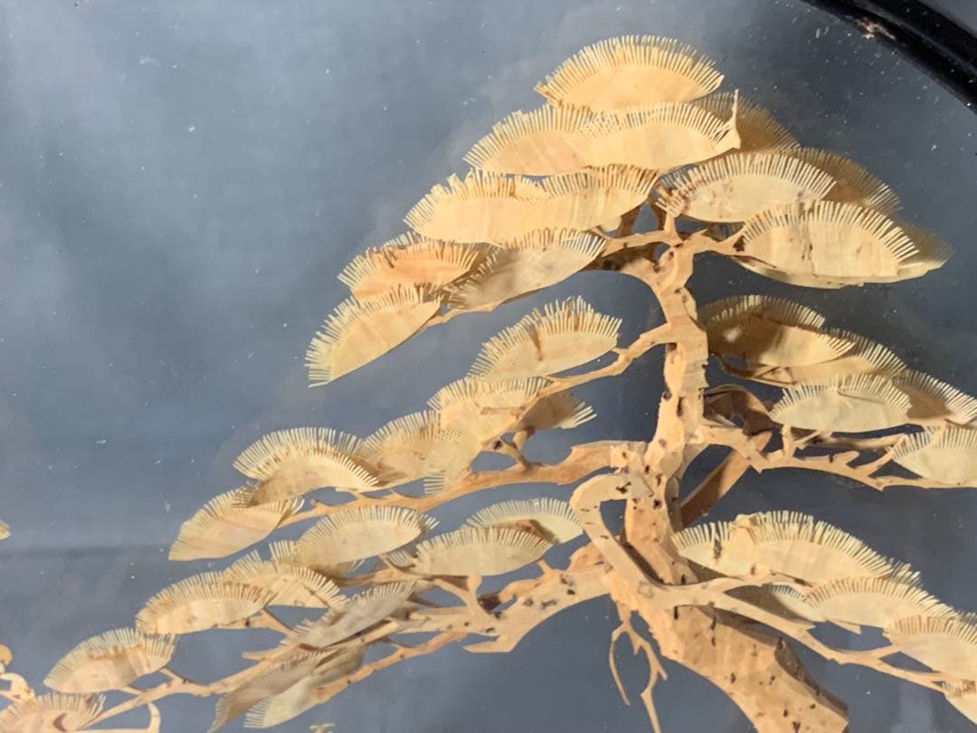 母のお茶道具の仲間たち　中国一刀彫　幅230x奥70xH230