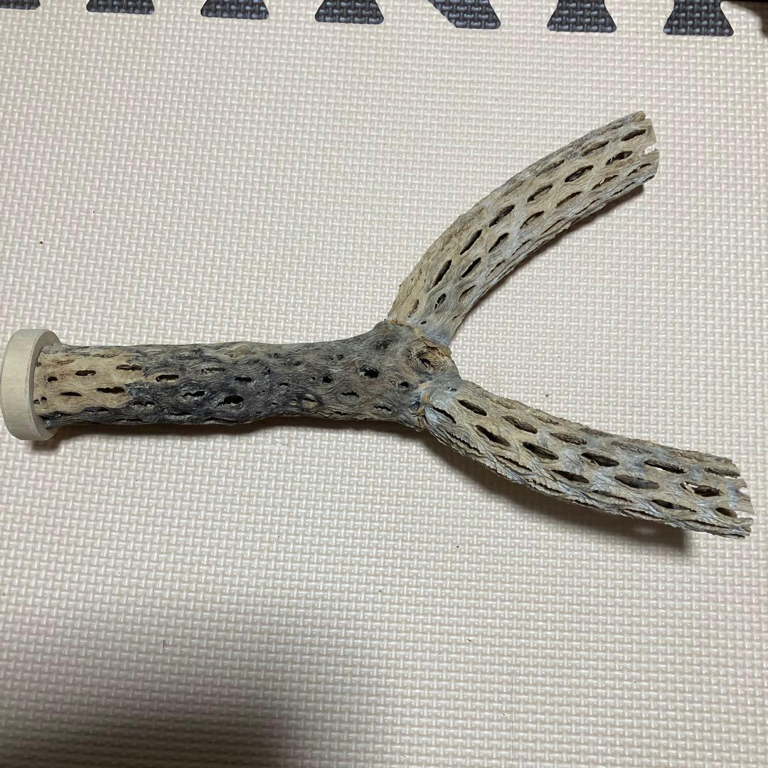 カクタスパーチの作成依頼・在庫確認・お問い合わせ専用ページ