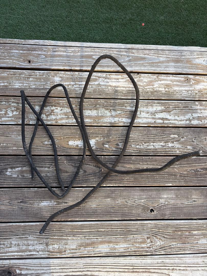 スクリーンテラリウム4560 GEX エキゾテラ