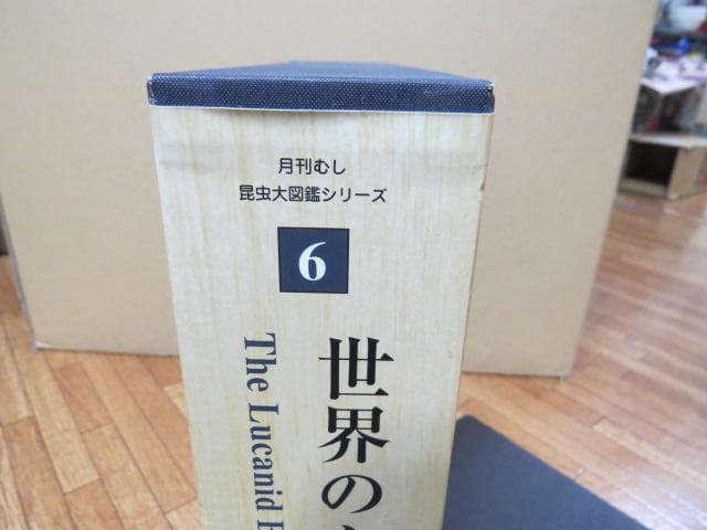 世界のクワガタ虫大図鑑　最終！！むし社　ビークワ　クワガタ