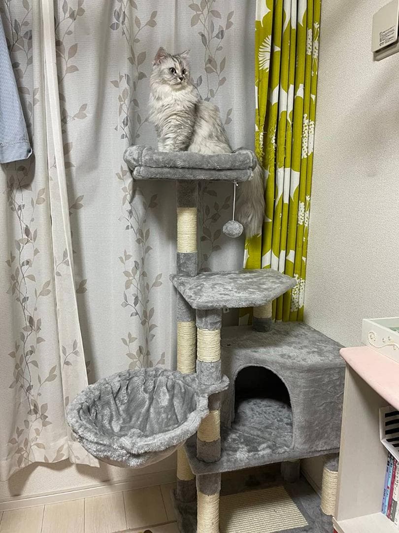 スペース節約できる室内用キャットタワー、大型猫もOK