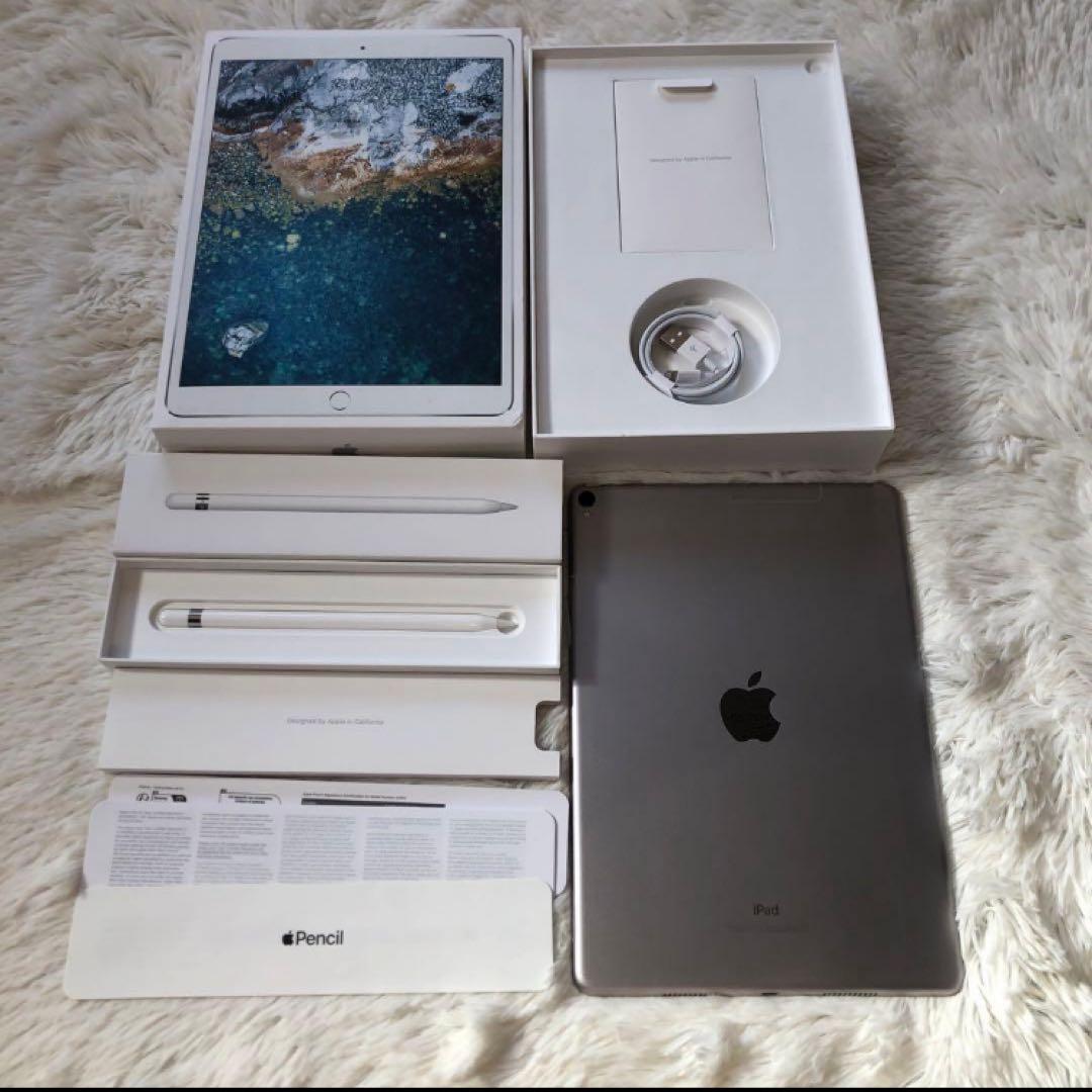 【早い者勝ち】iPad Pro 10.5 512GB 付属品多数！ 【すぐ発送】