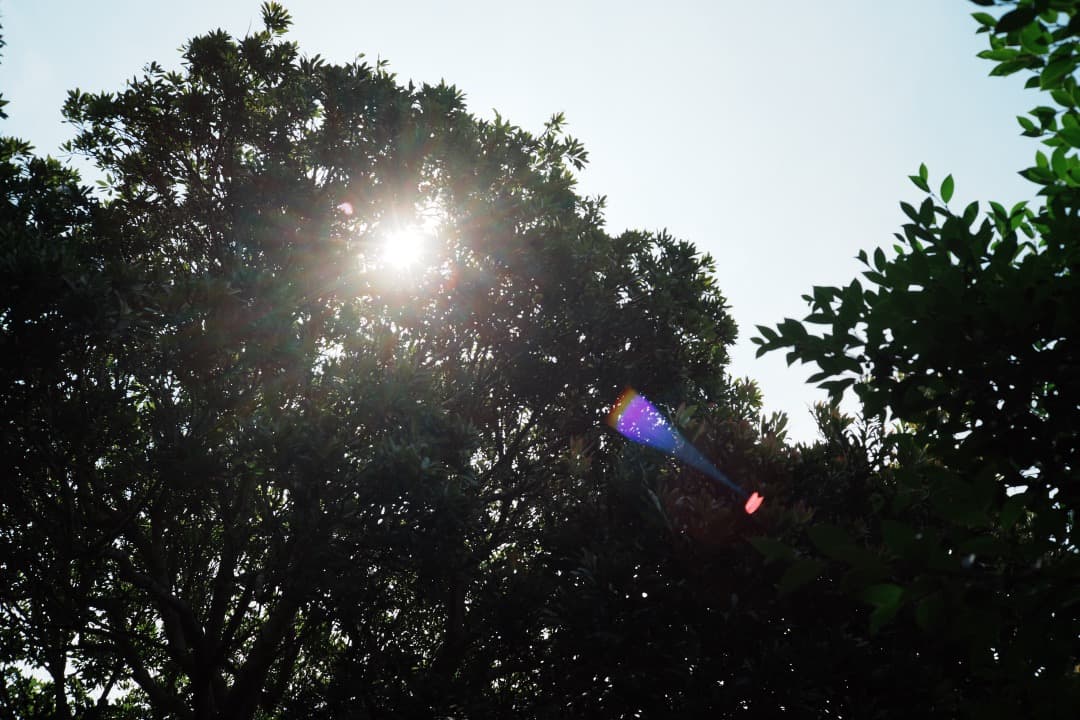 【ライカ】動作◎ Minolta M-ROKKOR 40mm F2 292