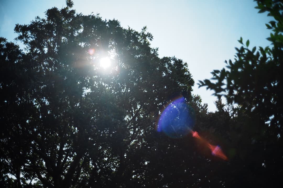 【ライカ】動作◎ Minolta M-ROKKOR 40mm F2 292