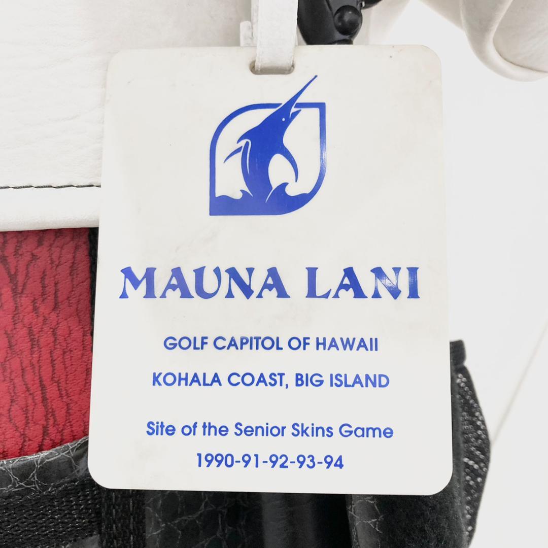 Belding Sports ベルディング・スポーツ ゴルフ キャディバッグ