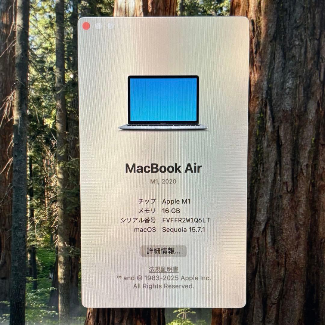 MacBook本体 Apple MacBook Air M1 16GB 512GB
