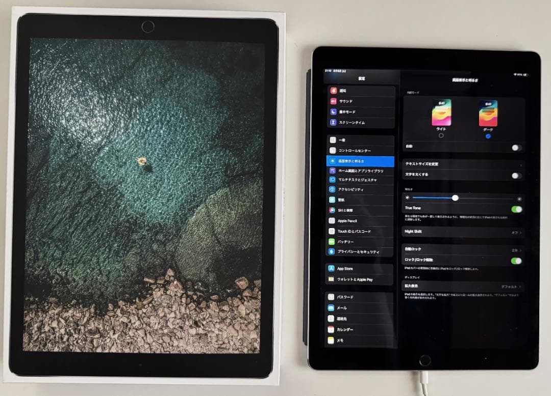 iPad Pro 12.9インチ 第2世代 Wi-Fi 256GB ジャンク品