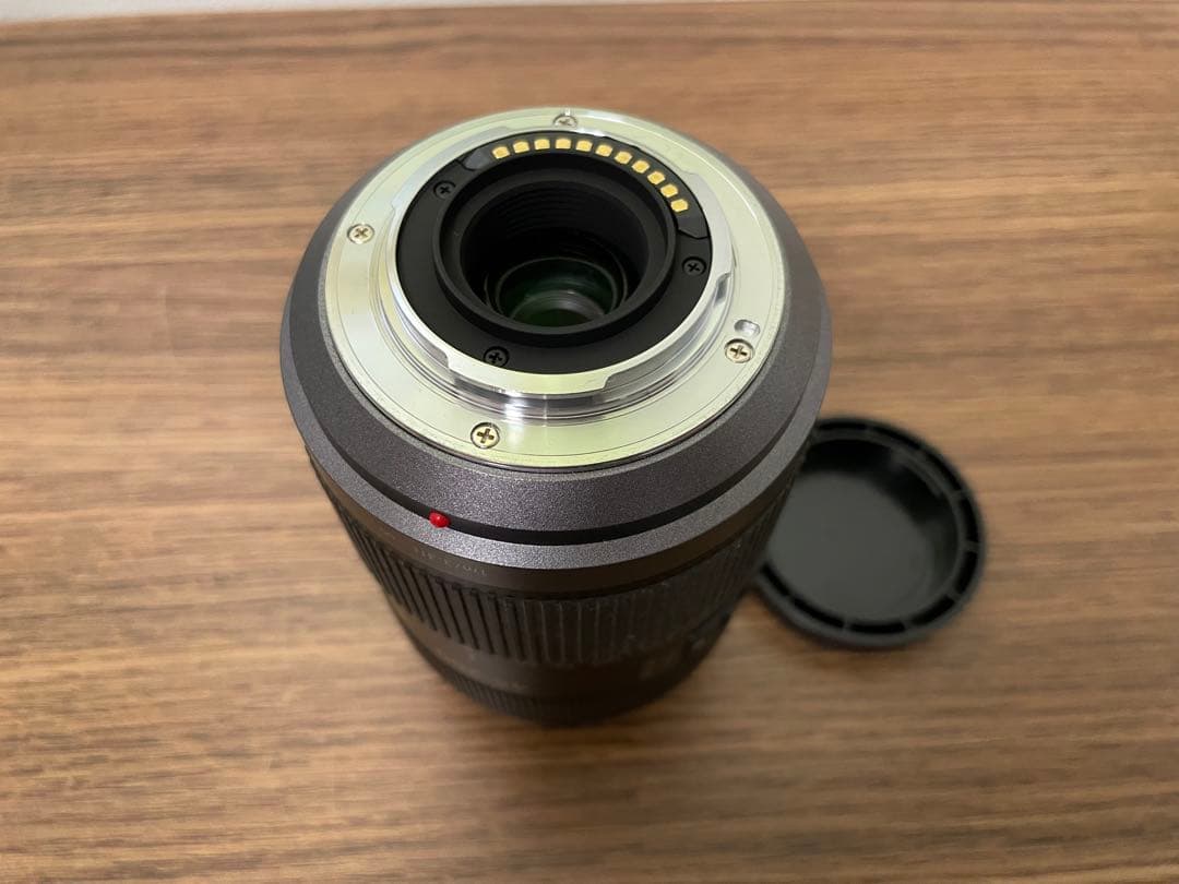 H-FS045200 パナソニック 望遠ズームレンズ マイクロフォーサーズ用