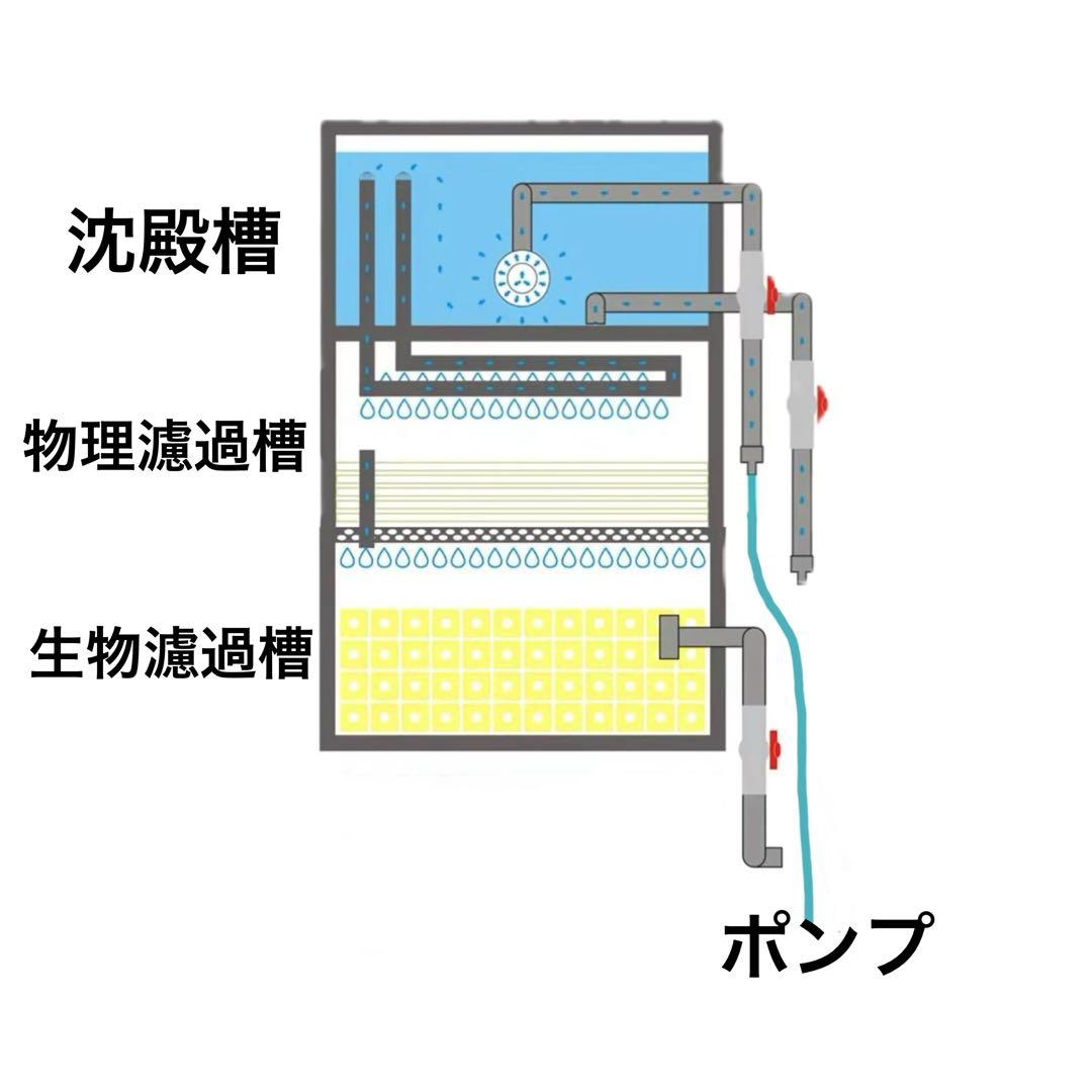 大型水槽用沈殿物理生物一体型濾過槽　外部式濾過装置器水槽濾過バイオフィルター付き
