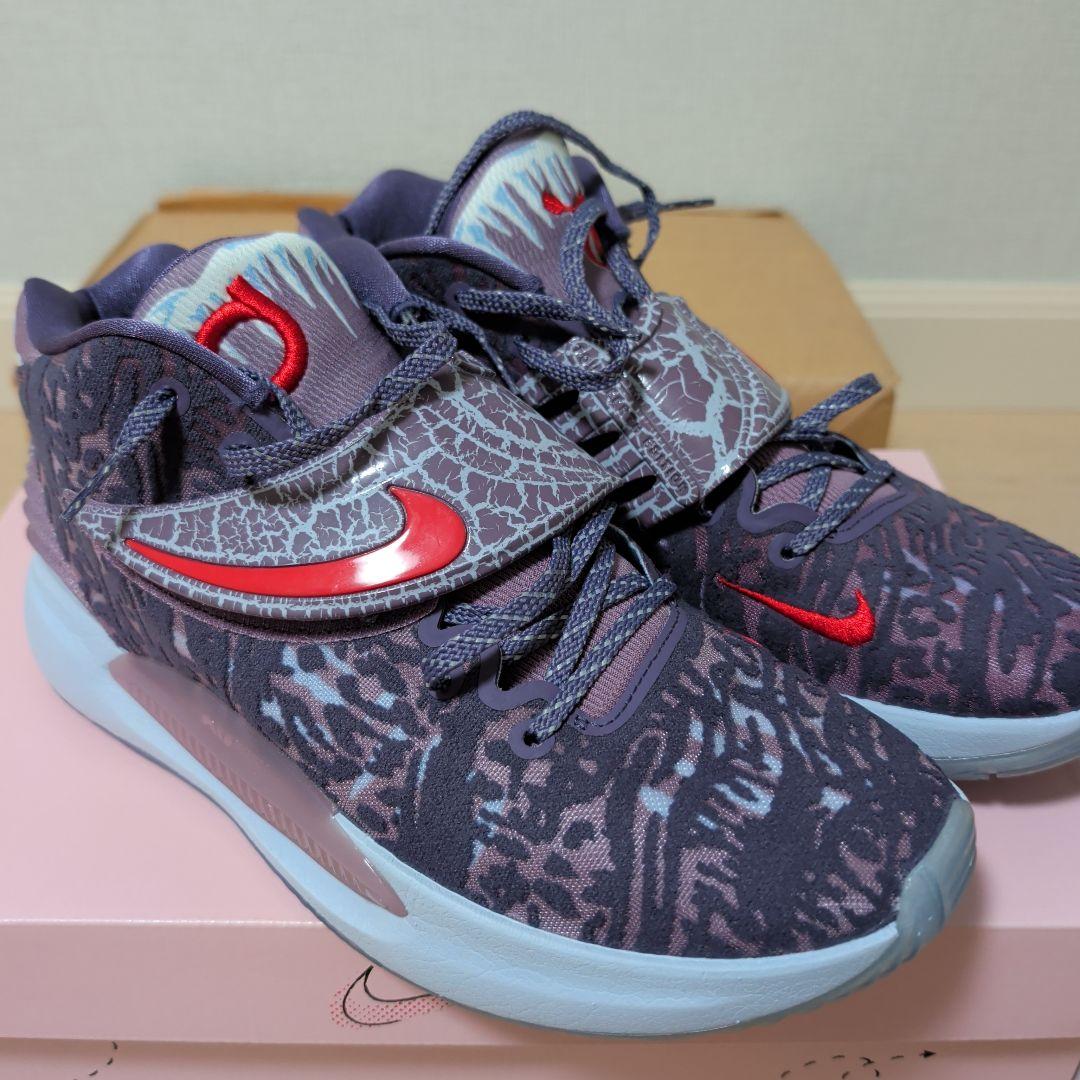 シューズ(男性用) NIKE KD14 NRG EP