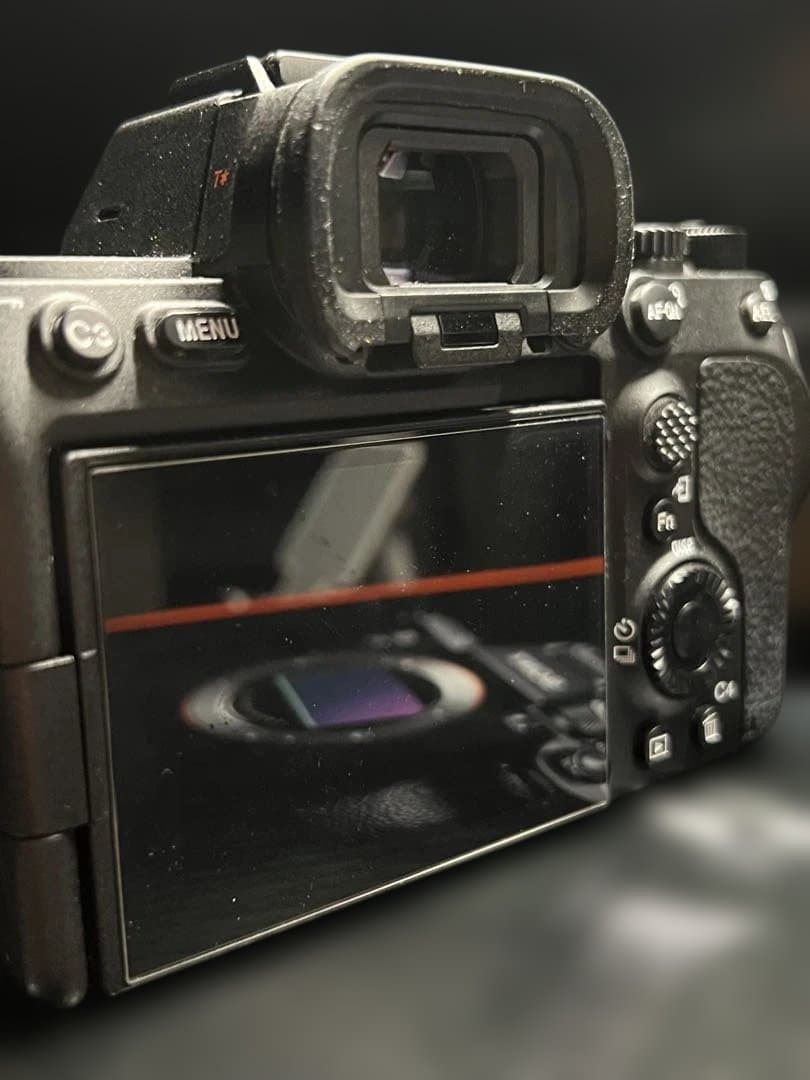 SONY α7Sⅲ ILCE-7SM3 撮影回数637枚 アクセサリー付き