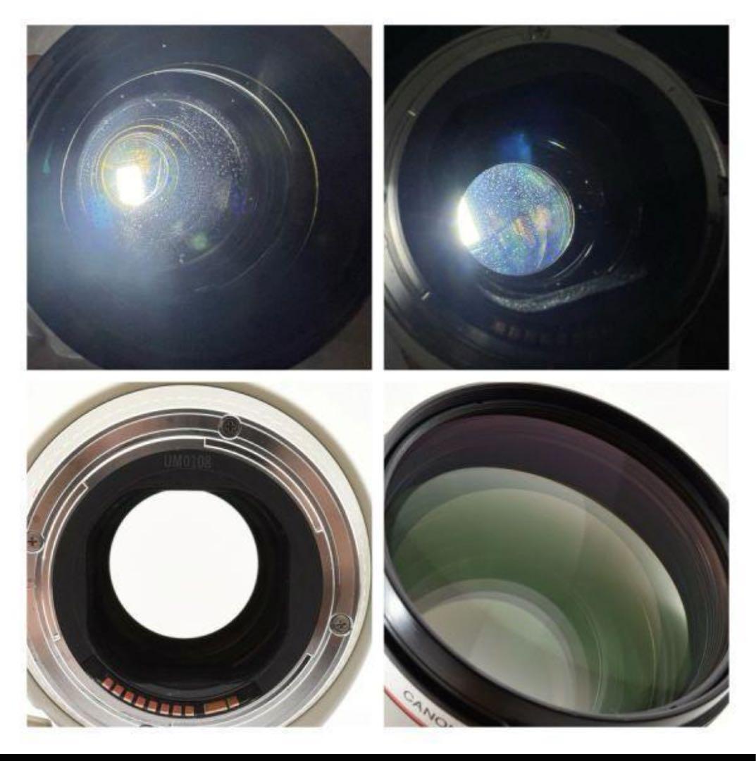 Canon EF 70-200mm f/2.8 ナナニッパ