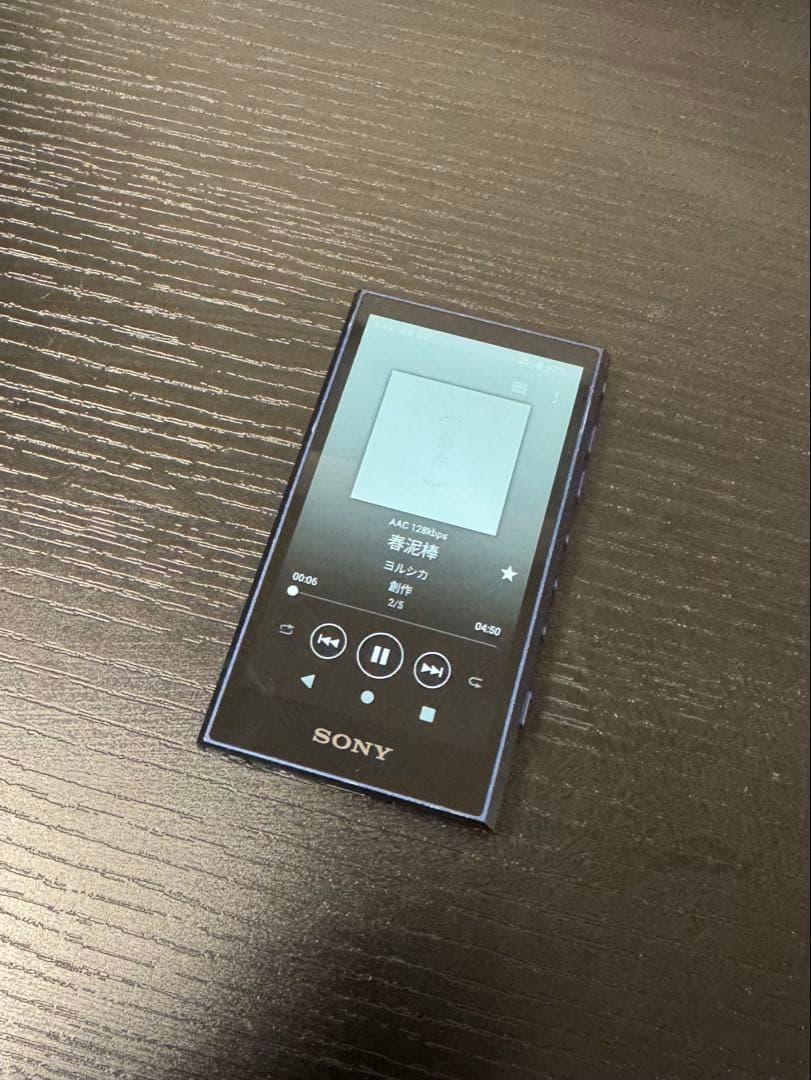 SONY ウォークマン NW-A307 64GB ブルー 本体のみ 美品