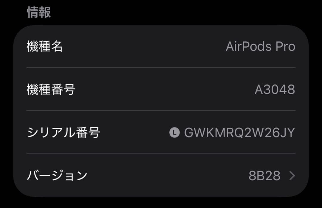 Apple AirPods Pro 第2世代 USB-C 両耳 [89]